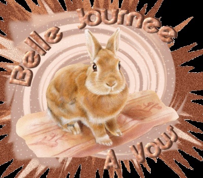 a tous et toutes dans autre 15753210