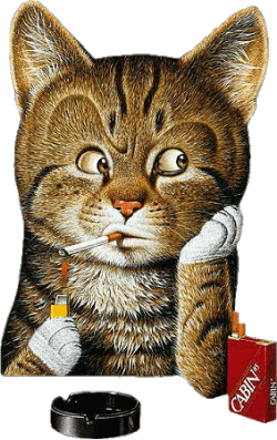 gifs dans gifs 19586910