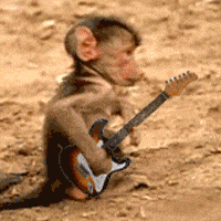 gifs dans gifs 19799810