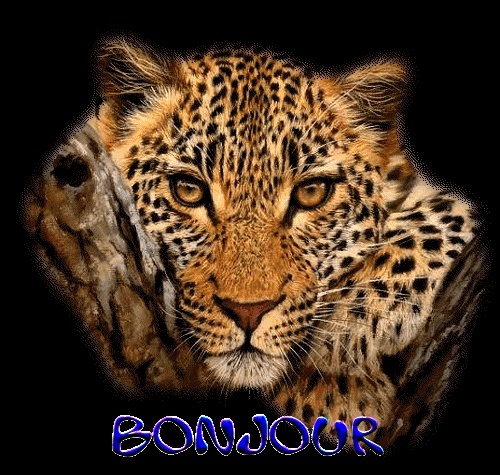 a tous et toutes dans autre 19817910
