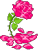 مخ مخ