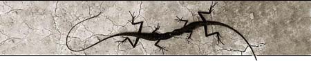 Reptielen en andere huisdieren