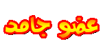 شباب جامد شباب جامد