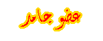 فارس متألق فارس متألق
